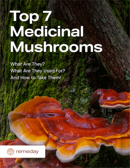 The Top 7 Medicinal Mushrooms | PDF